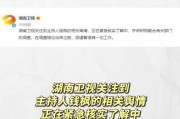 娱乐圈吃瓜运营模式有哪些,揭秘幕后攻略与热门事件幕后真相